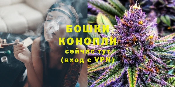 стаф Медвежьегорск