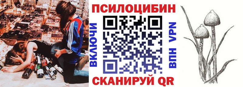 цена дарк нет состав Галлюциногенные грибы Psilocybine cubensis Южа